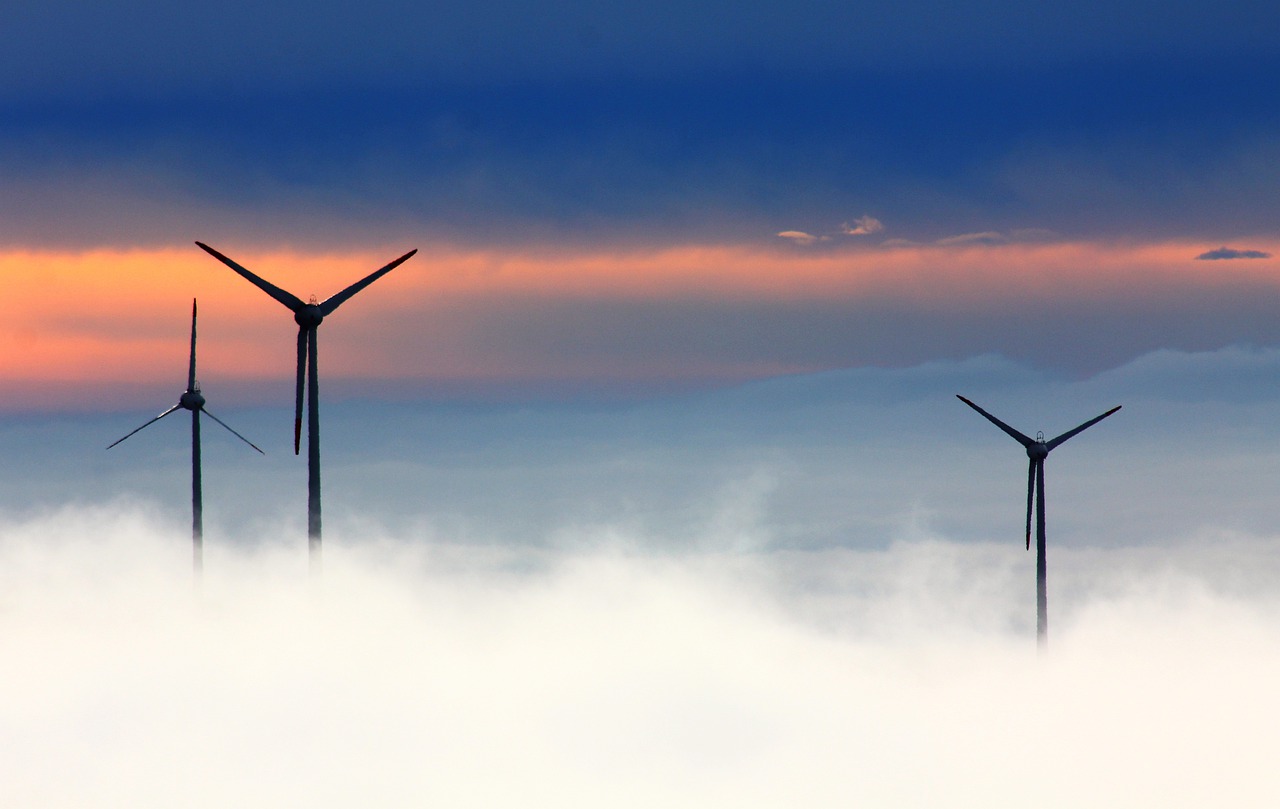 ACADEMIA LATINOAMERICANA POR EL CLIMA (ALCA)