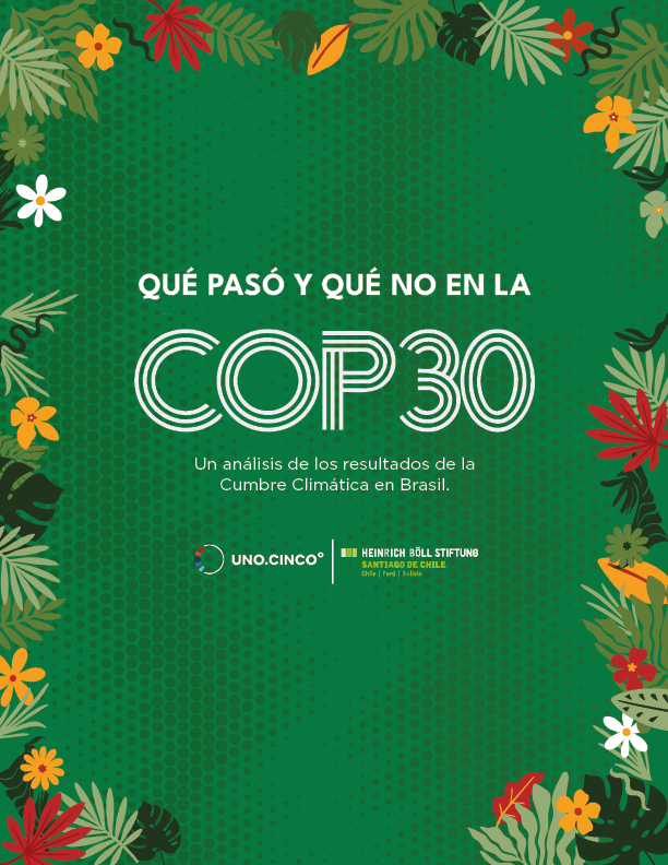 Artículo Post COP30_Portada 2