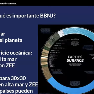 Captura de pantalla 2025-11-03 092938